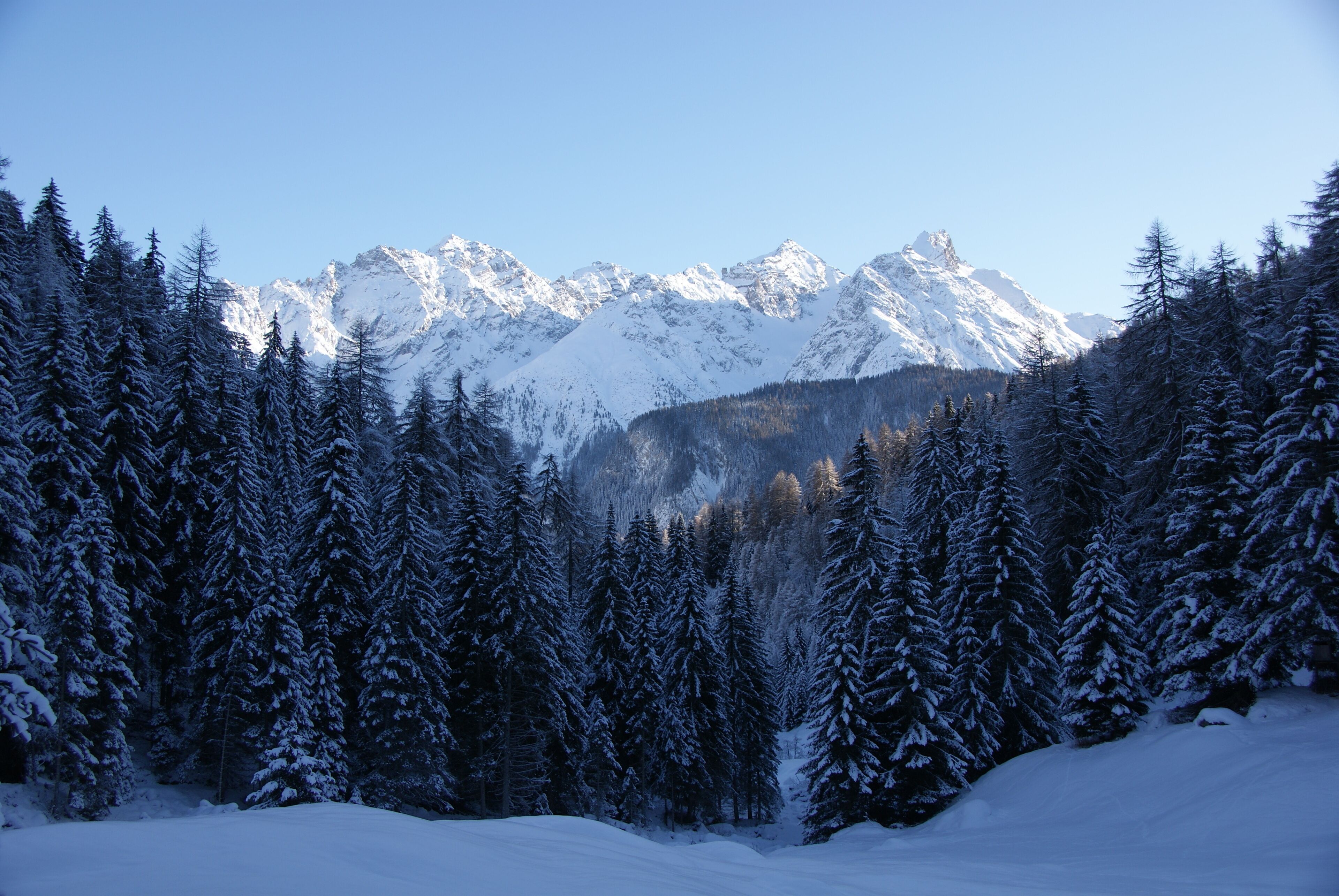 Engadin, Switzerland, between Ftan and Ardez