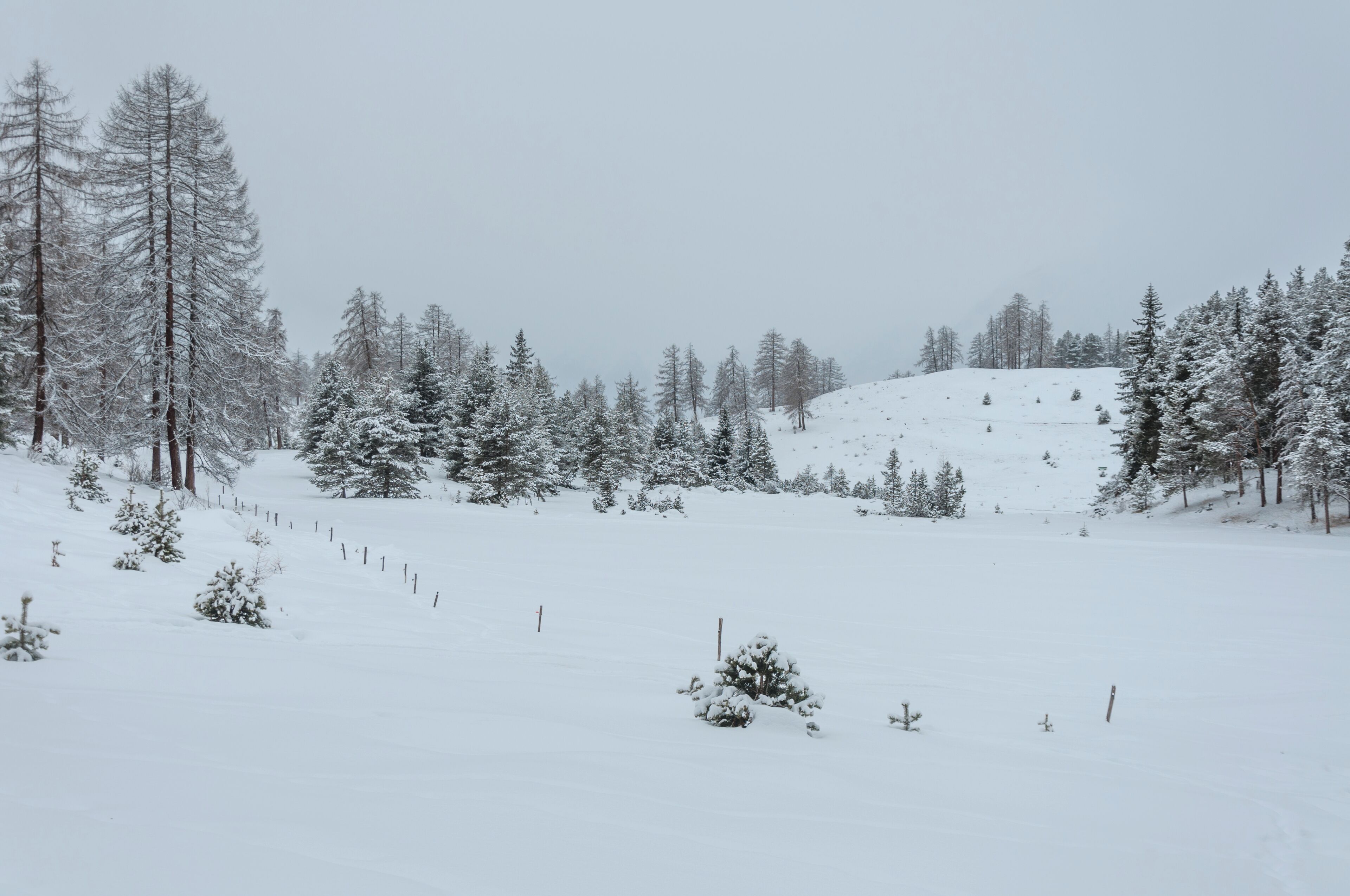 Switzerland, Graubünden, Tarasp in winter