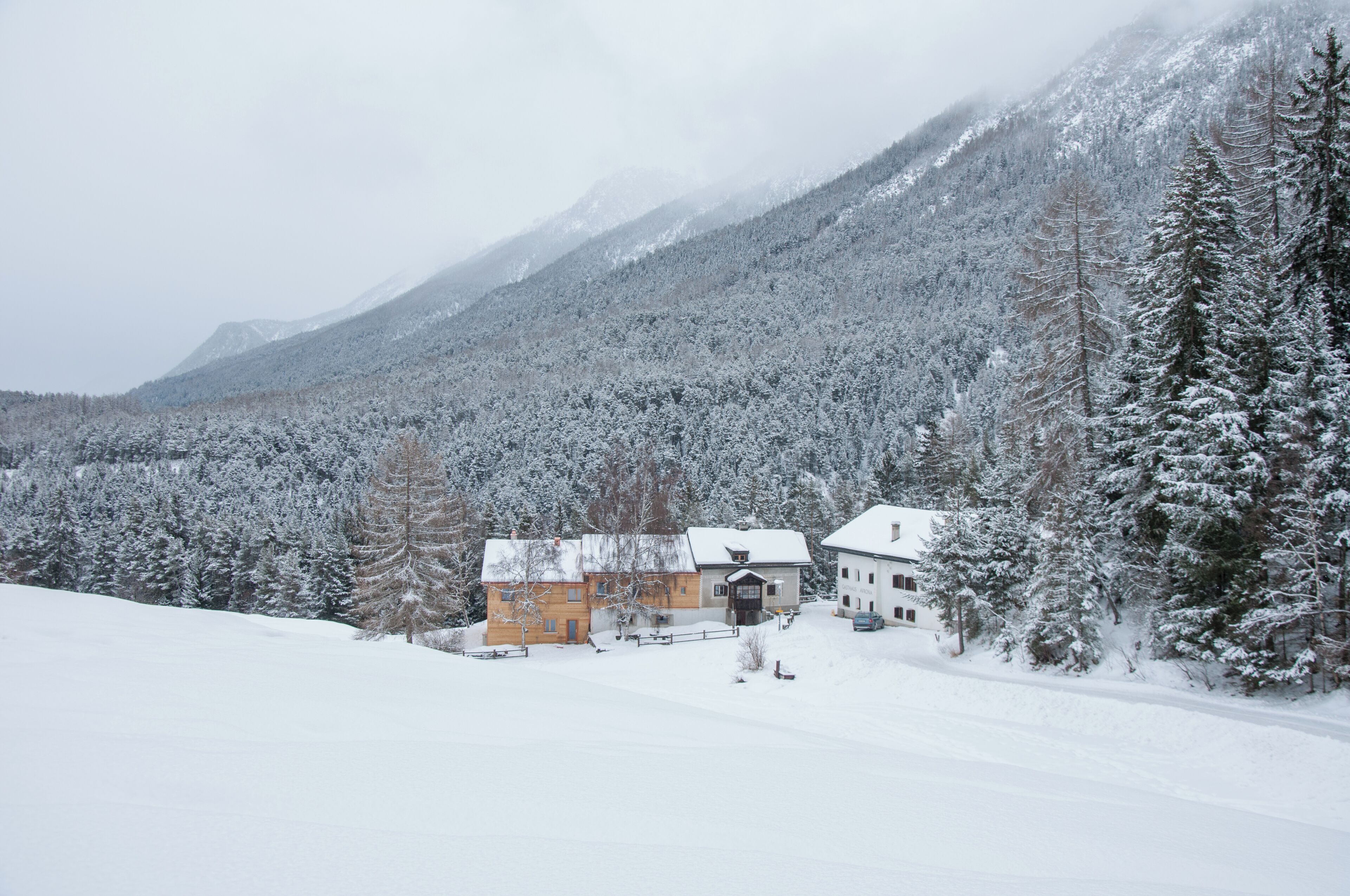 Switzerland, Graubünden, Tarasp in winter