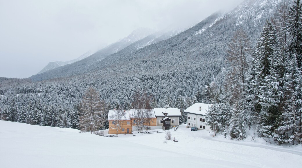 Switzerland, Graubรผnden, Tarasp in winter
