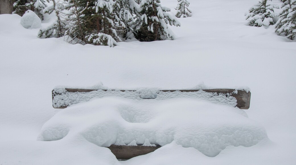 Switzerland, Graubรผnden, Tarasp in winter