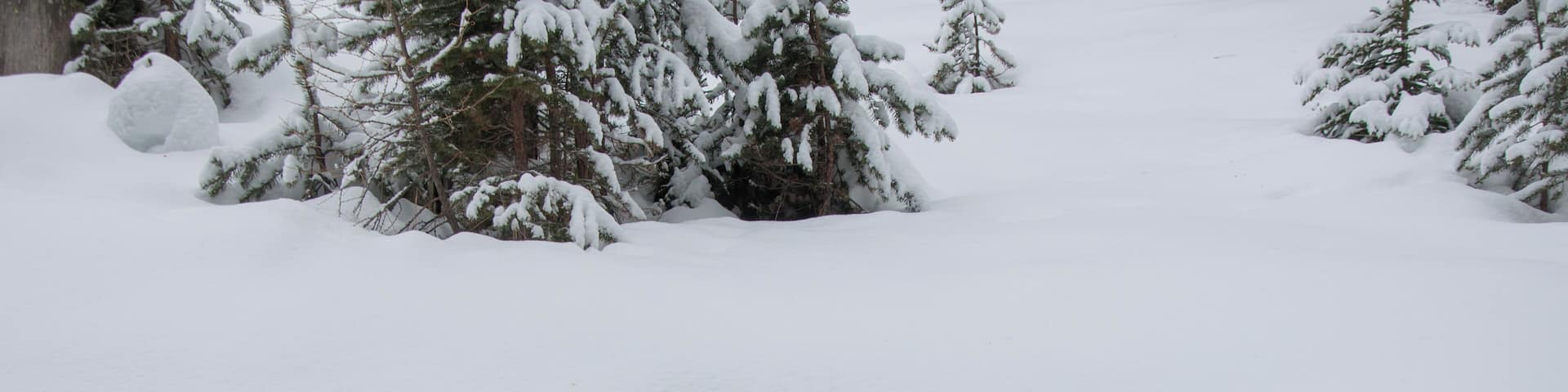 Switzerland, Graubünden, Tarasp in winter