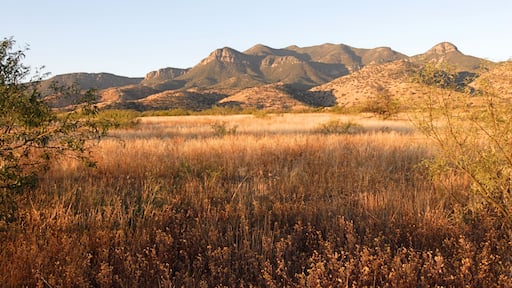 فورت هواتشوكا