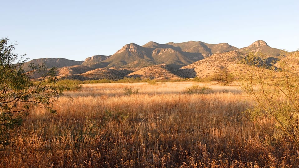 A mountainous landscape with dry grass and sparse vegetation.