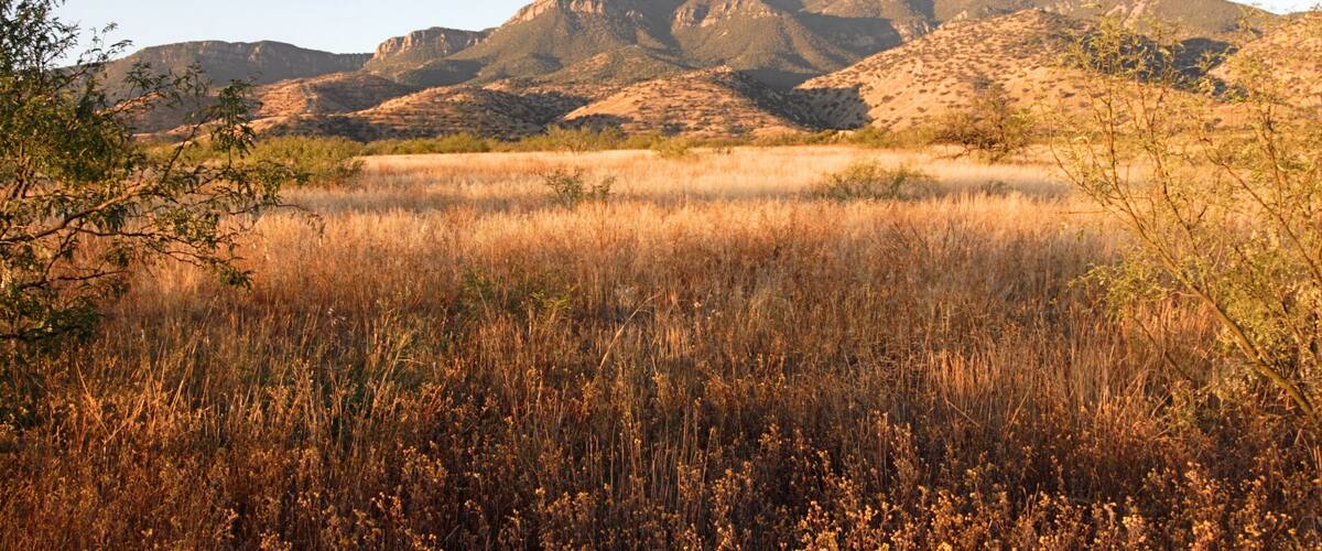 A mountainous landscape with dry grass and sparse vegetation.