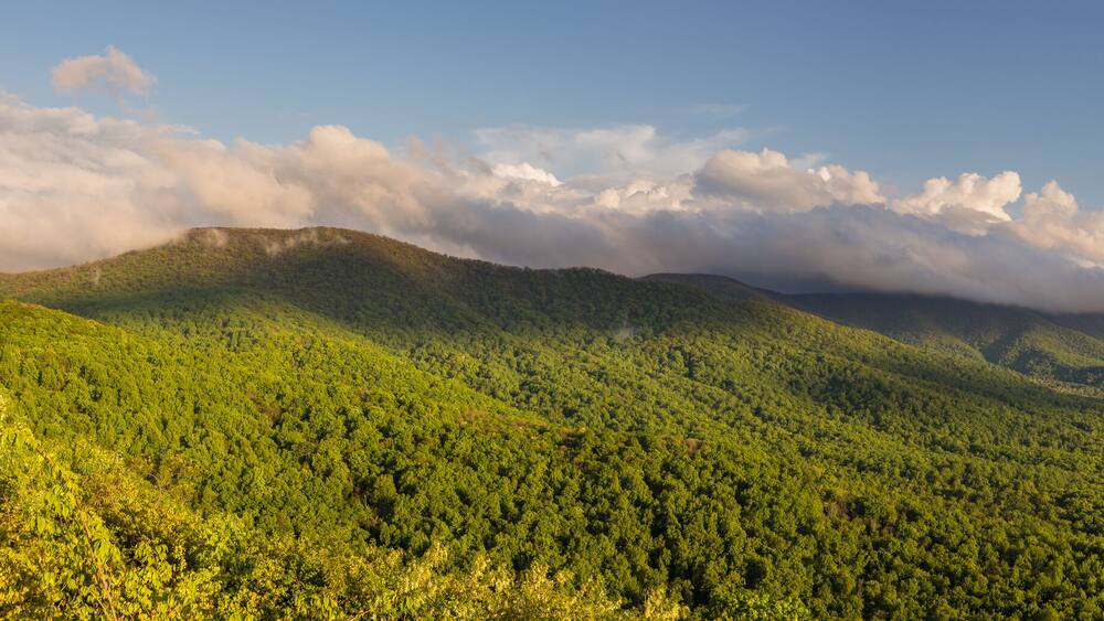 Panorama of the Shenandoah Valley at golden hour as seen from Shenandoah National Park with the forest a bright, vibrant green and clouds in the sky