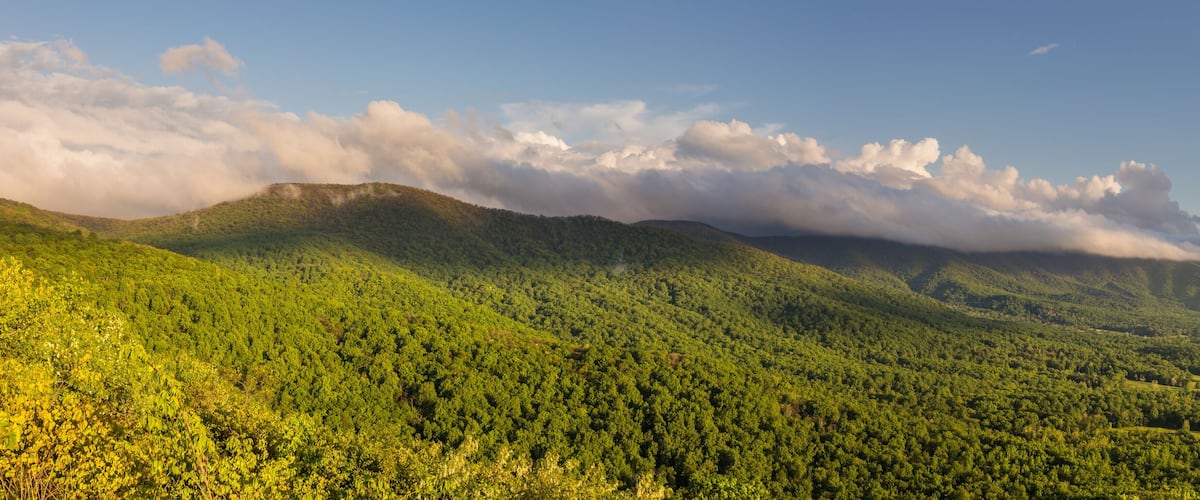 Panorama of the Shenandoah Valley at golden hour as seen from Shenandoah National Park with the forest a bright, vibrant green and clouds in the sky