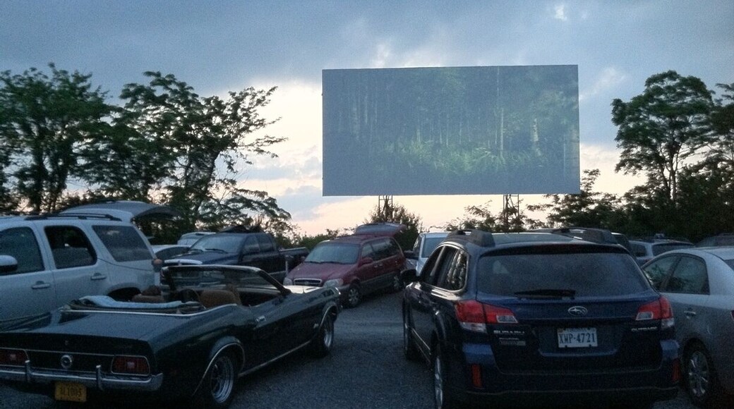 Family Drive-In. Just a couple of hours from DC, worth the drive for a family movie night chock full of nostalgia.