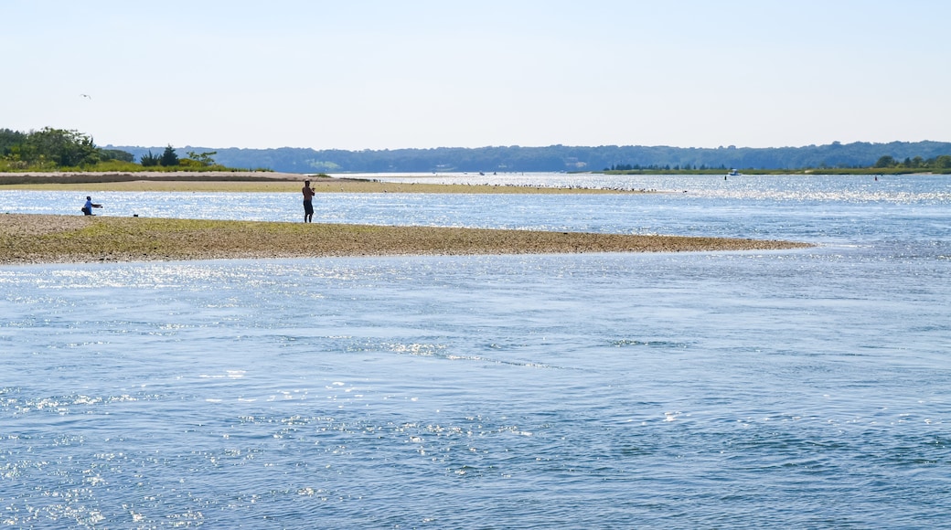 Two people fish on a spit of land jutting across the image. In the distance lies the mouth of Stony Brook Harbor with its water sparkling from the summer sun. Copy space. Stony Brook, New York.