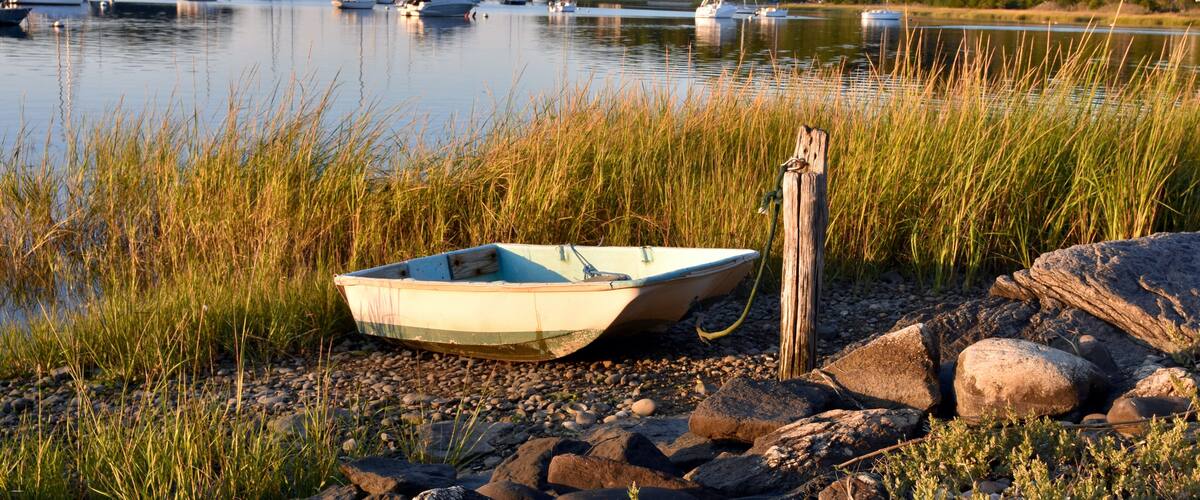 A calm lake with several boats anchored in the distance, surrounded by grassy banks and a rocky shoreline.