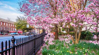Athens, Georgia, USA in Spring