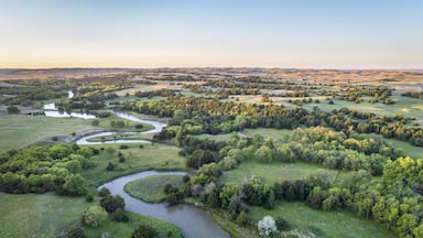 Un río serpentea por un paisaje exuberante con bosques densos y campos abiertos.