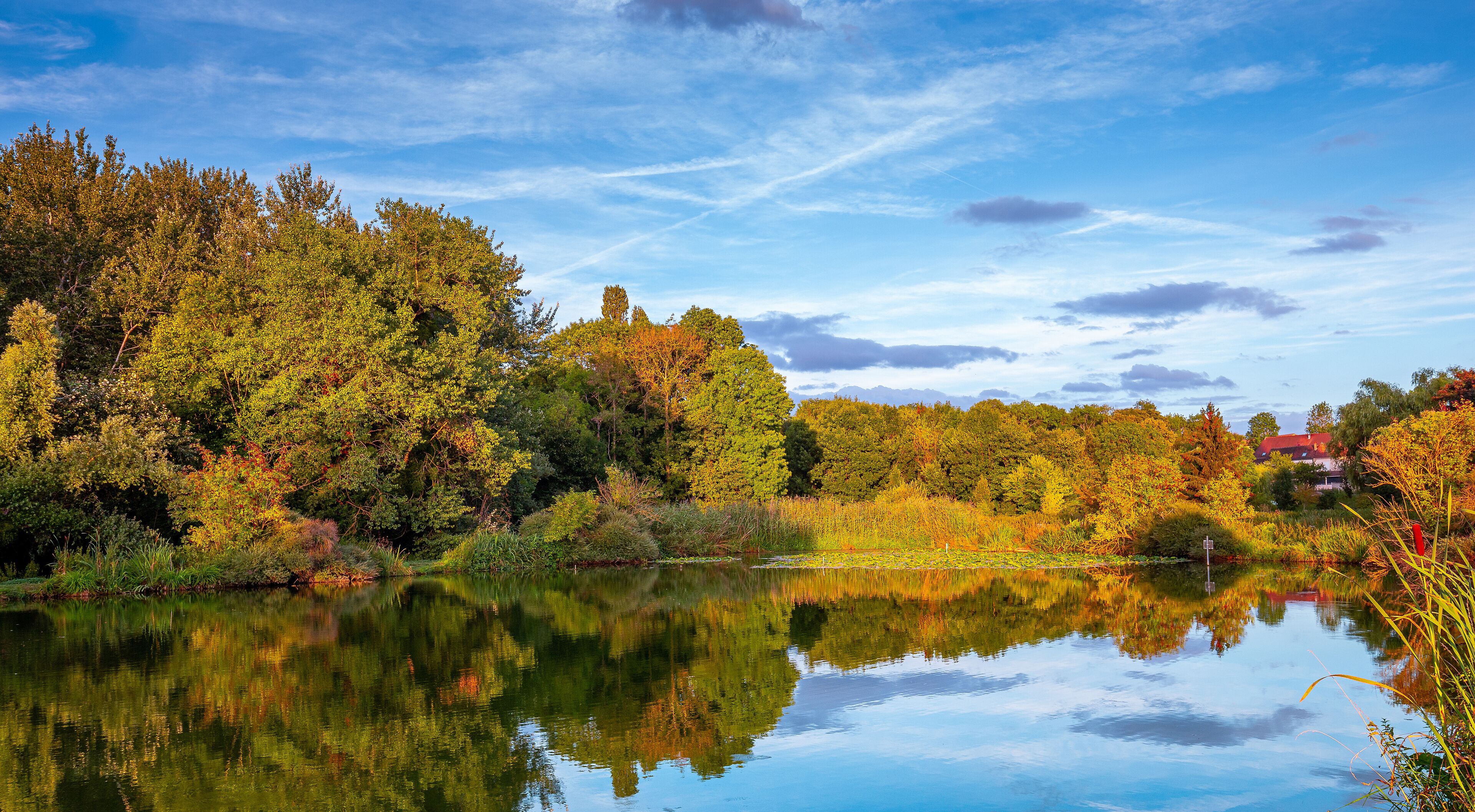 Sunset on a pond in Santeny, france
