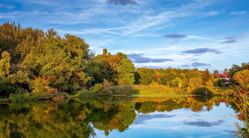 Sunset on a pond in Santeny, france