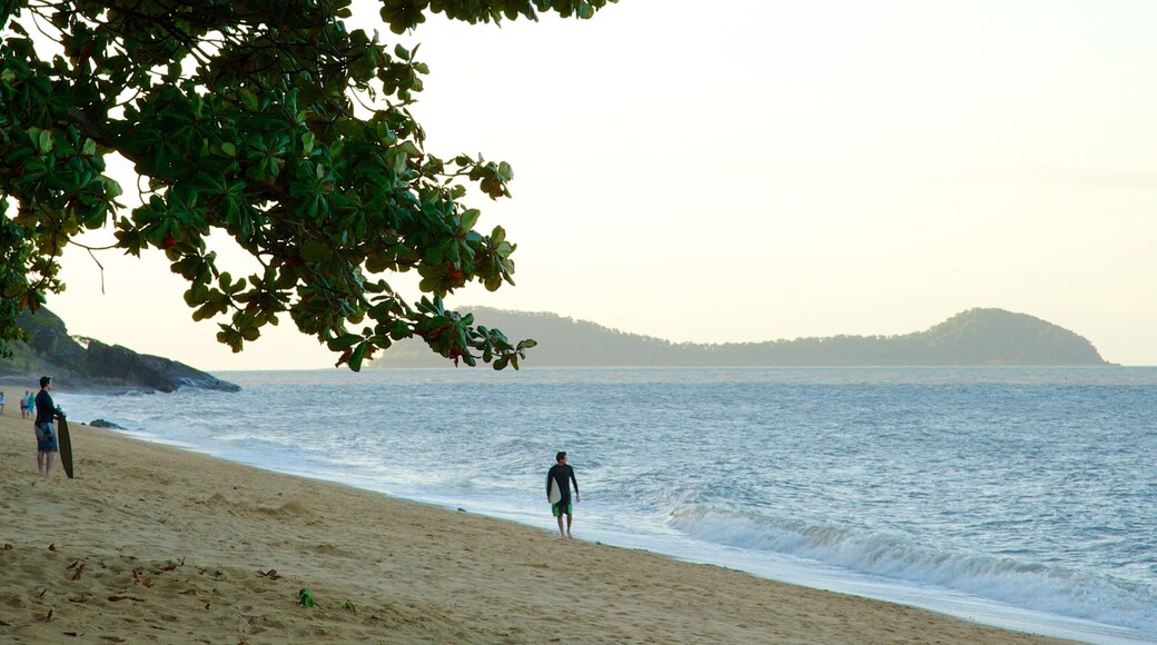 Trinity Beach welches beinhaltet tropische Szenerien, Surfen und Landschaften