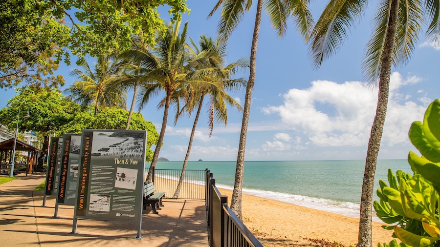 A beach with palm trees, a wooden walkway, and a signboard.