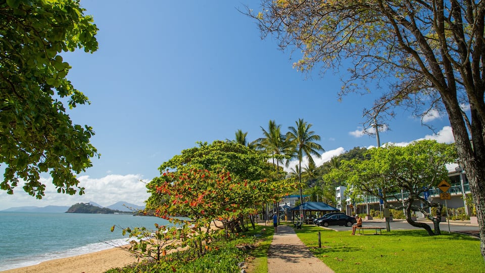A beach with a path, palm trees, and a view of the ocean.