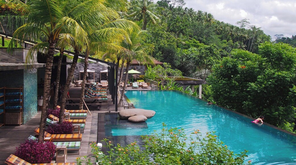 Beside it's location surrounded by rice terraces and temples, Ubud is known for it's relaxed vibe and luxurious hotels and pools. If you cannot afford to stay in a luxury hotel, you can definitely swim in one's pool. The Jungle Fish restaurant & pool bar is on site of chapung Sebali Resort & Spa, and the pool can be accessed with a small fee.
#AquaTrove