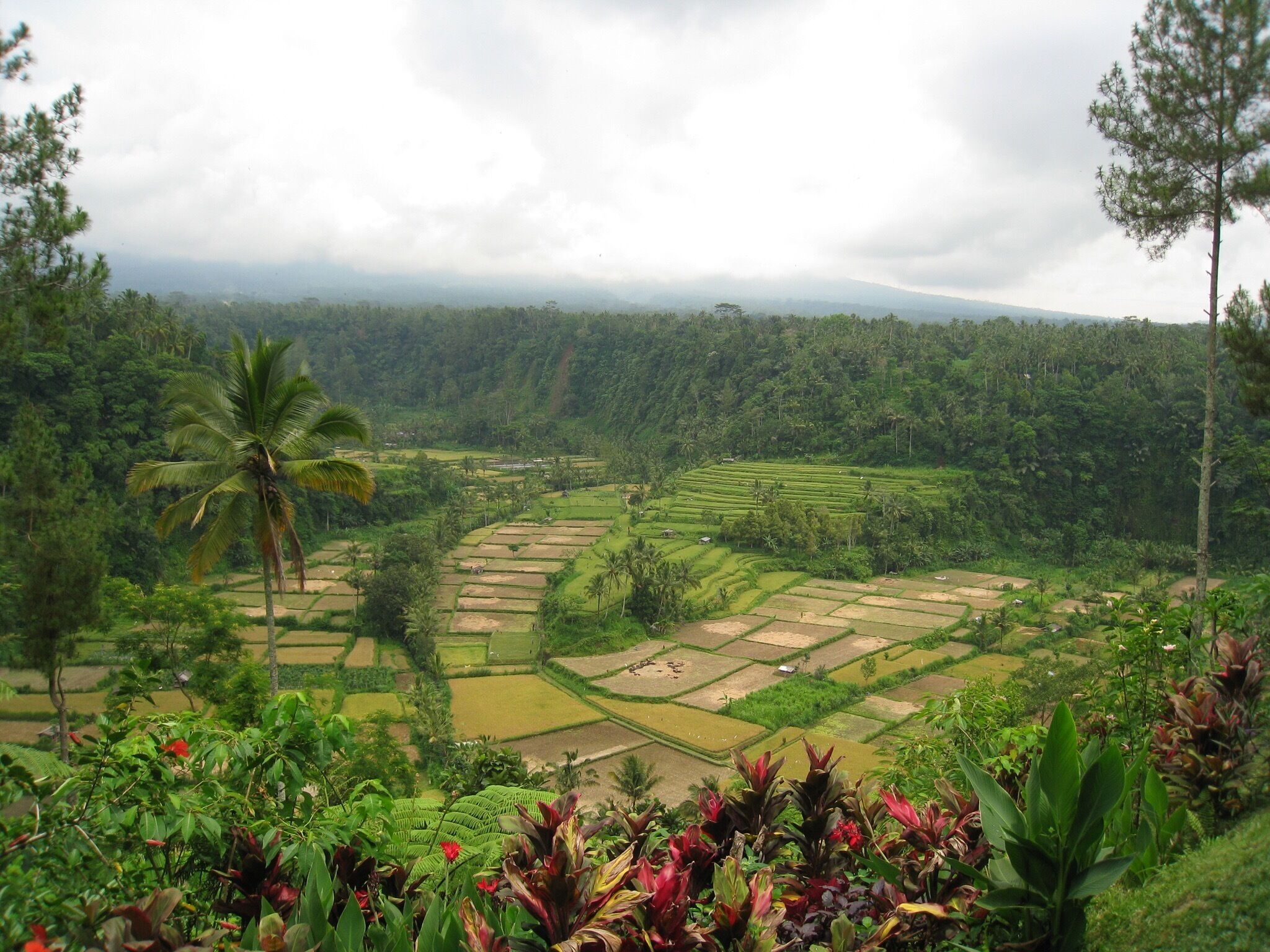 Enjoying the rice field views after hiking Mount Agung, the highest peak in Indonesia 