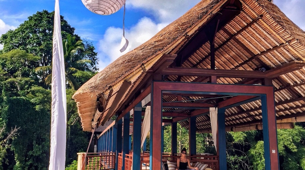 My favorite place to stop for some fresh air before leaving the #resort each day. My water lily friends and hanging lanterns are always so welcoming. #sayan #ubud #bali