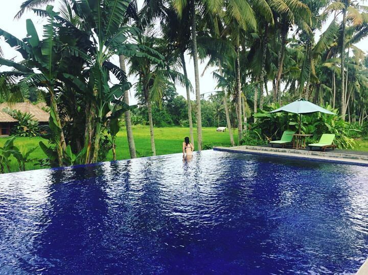 Una piscina rodeada de palmeras y follaje.
