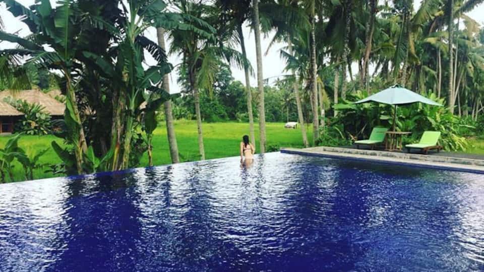 Una piscina envoltada de palmeres i vegetació.