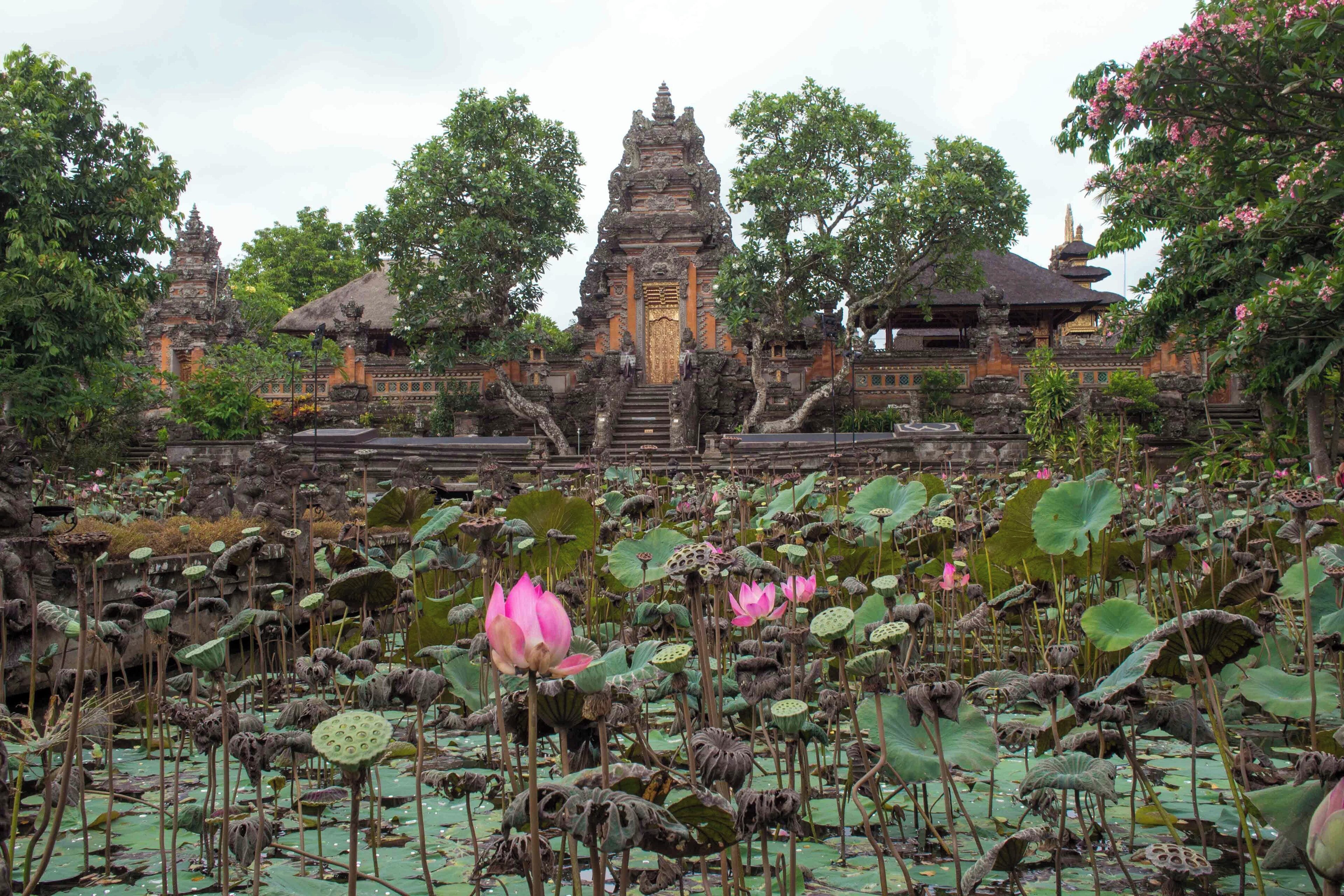 Bali is full of beautiful temples. Some are remote, but not this one. The Saraswati Temple is just off the main street in Ubud city center, and it is hard to believe when facing the serene lotus pond and the majestically decorated temple!