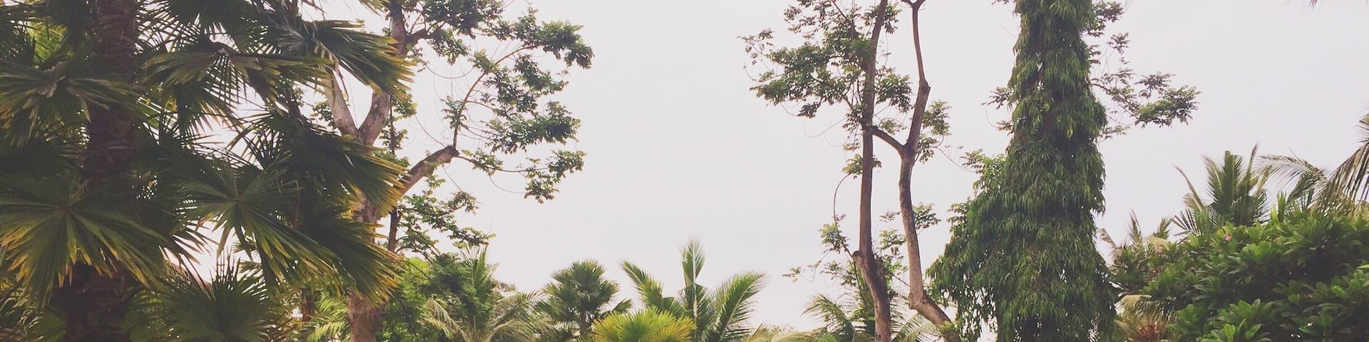 Getting ready for three weeks of relaxation in Bali at the Y Resort Ubud