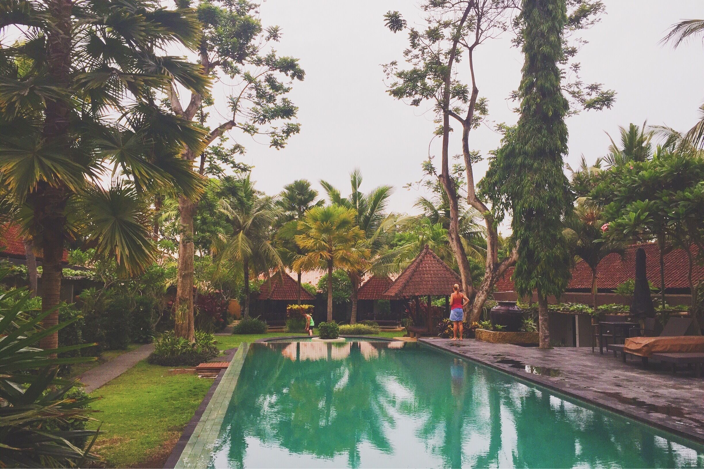 A swimming pool surrounded by palm trees and a gazebo.