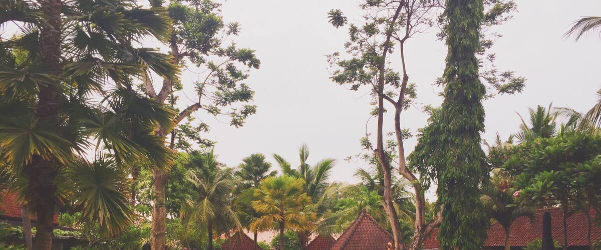 A swimming pool surrounded by palm trees and a gazebo.