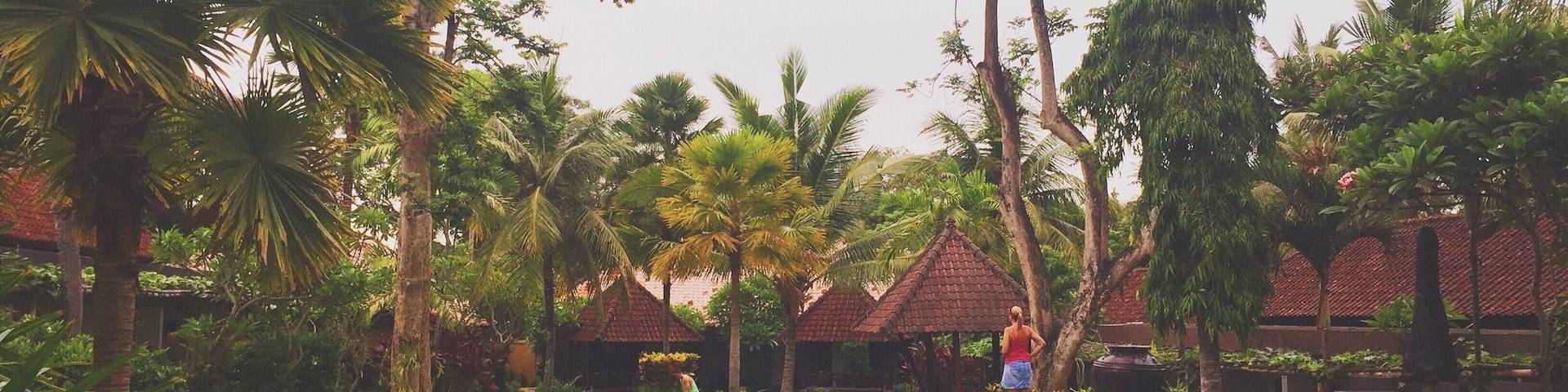 A swimming pool surrounded by palm trees and a gazebo.