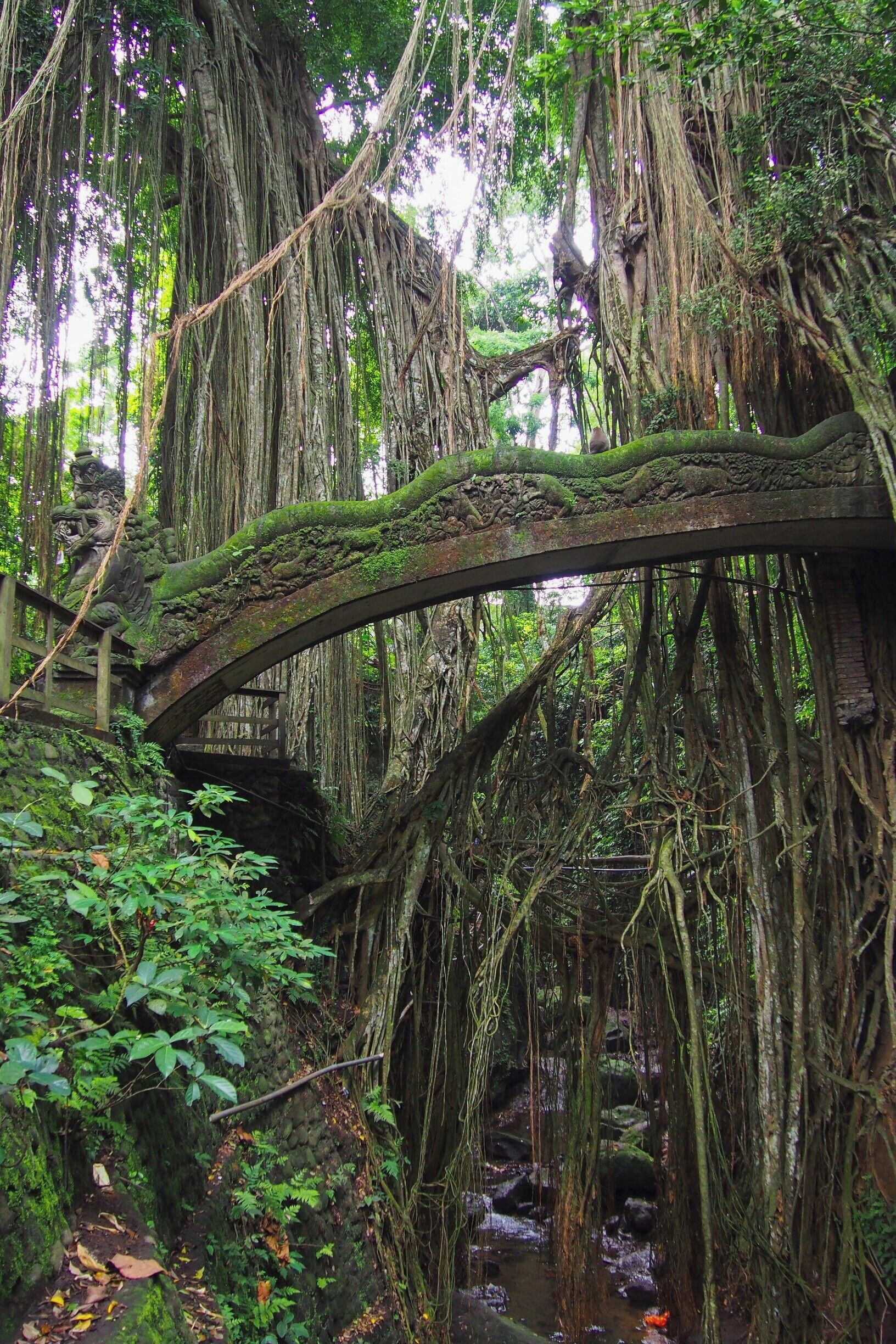 I felt like I was on a set of Indiana Jones-movie in Monkey Forest Ubud. These old ruins are actually a part of an ancient hindu temple dating back to the 14th century. This is monkeys kingdom now.
