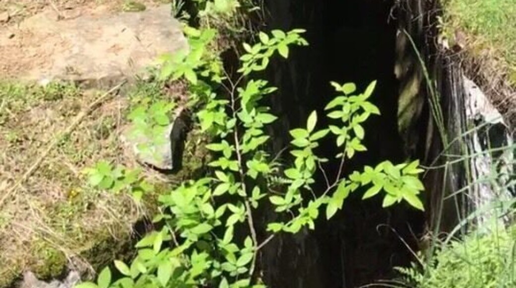 This 1.5 mile – moderate trail is called Crack in the Rock for obvious reasons.
You’ll be able to enjoy the creek and the waterfall on the way up.