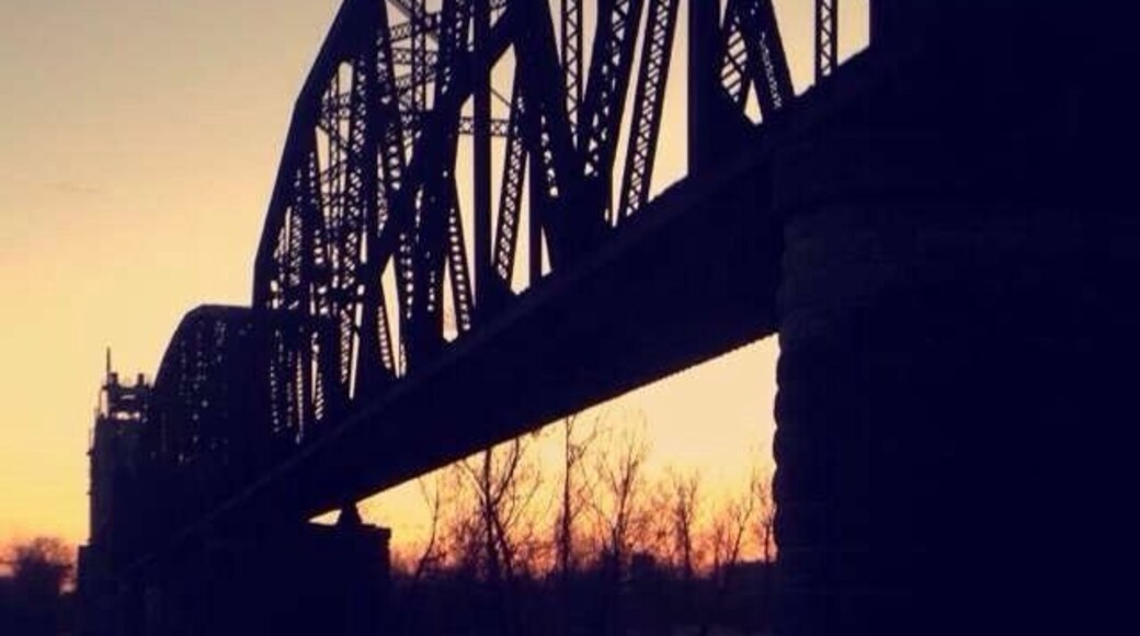 Train bridge behind the chicken plant. It's especially beautiful during sunset.