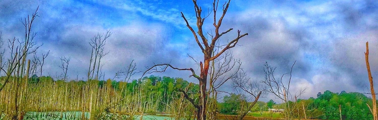 Flooded swamp land. Hurricane Florence brought lots of flooding to Eastern NC