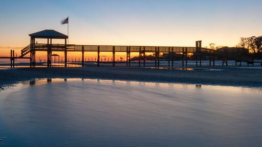 Pier at Low Tide