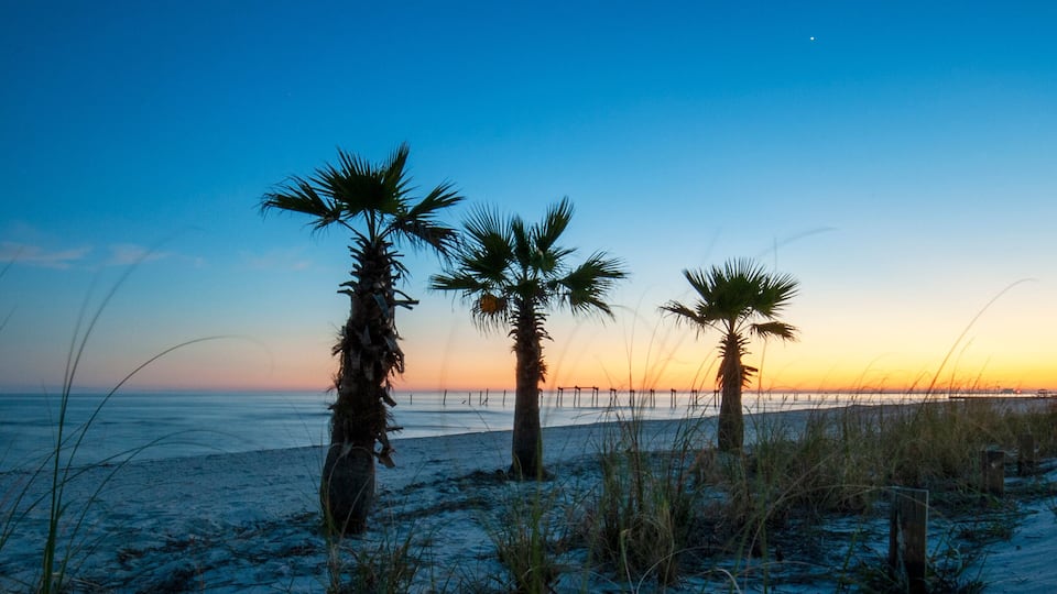 A beach at sunset with palm trees and a fence in the background.