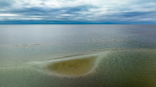 Sandbar at Gulfport