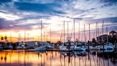 Fresh morning marina sunrise with sailboats and calm water