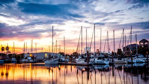 Bacliff