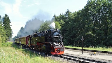 A steam locomotive with the number 99 7234-0 traveling on a railway track surrounded by dense forest.