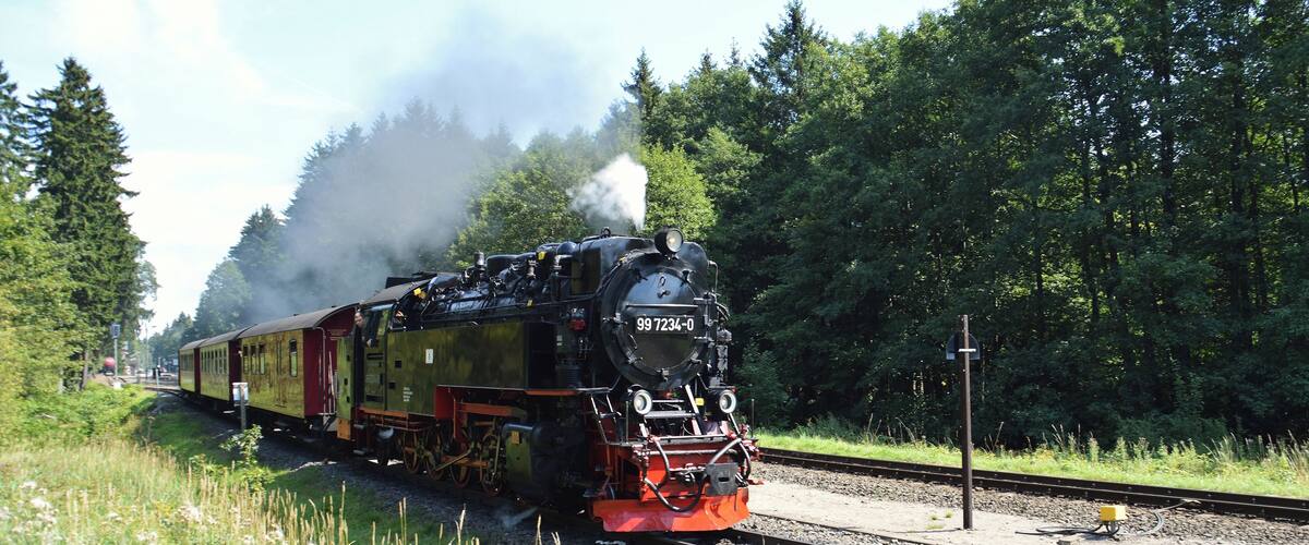 A steam locomotive with the number 99 7234-0 traveling on a railway track surrounded by dense forest.
