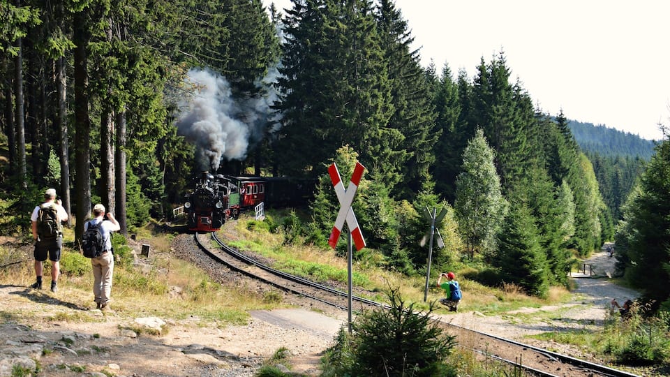 A steam train with passengers, a railway crossing sign, and a forested area.