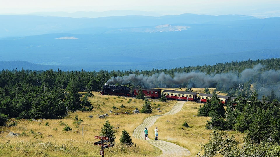 A steam train traveling through a forested area with a clear sky.