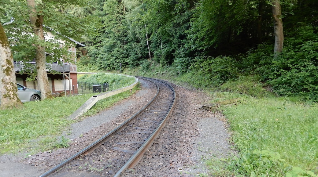 Gleise Harzquerbahn hinter Bahnhof Steinerne Renne