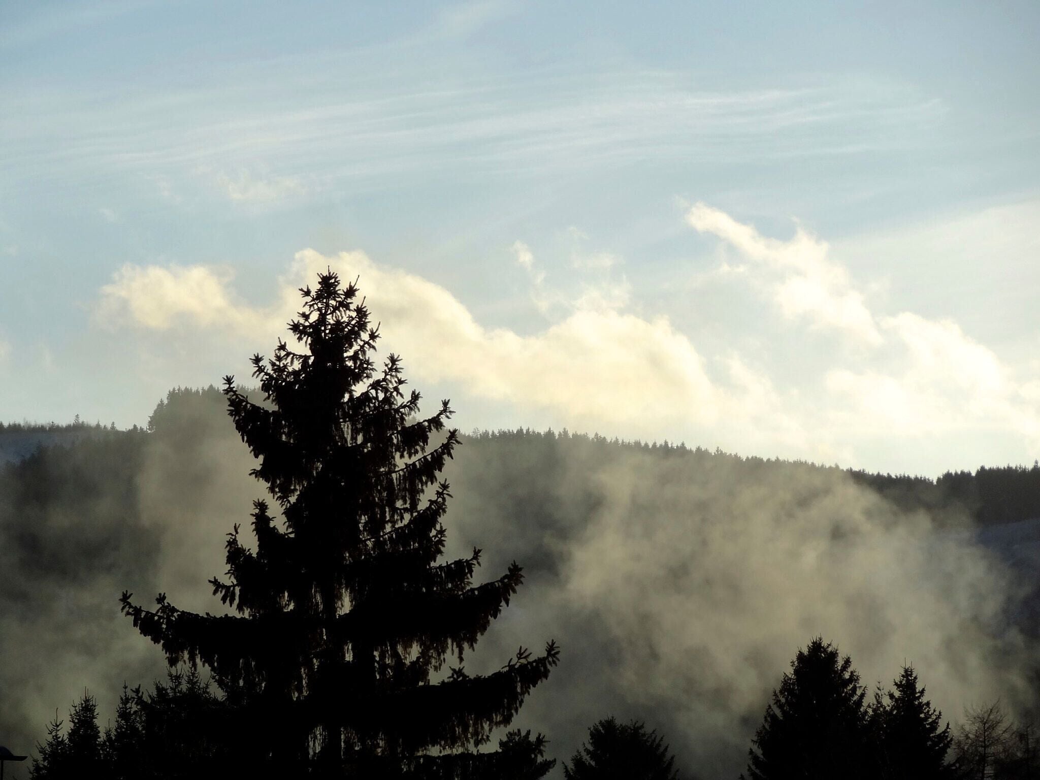 500px provided description: Steam from the Harzer Schmalspurbahn, Wernigerode, Harz Mountains, Germany [#mountains ,#winter ,#steam ,#harz]