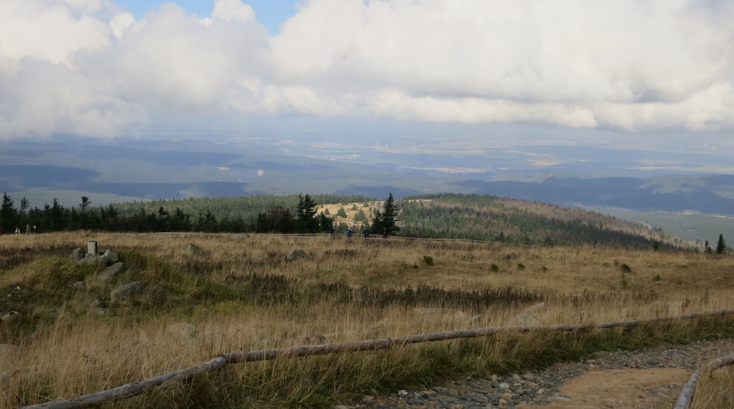 Blick vom Brockengipfel