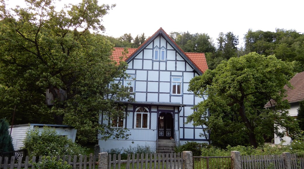 Wohnhaus Amtsgasse 2a, Hasserode, Friedrichsthal