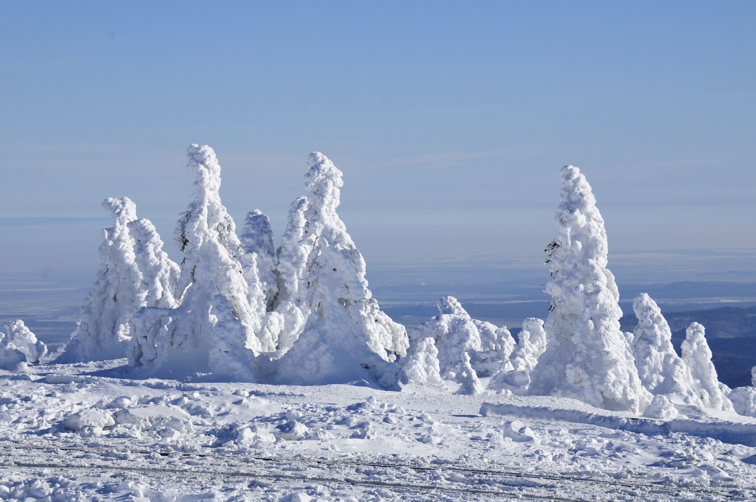 Winter on Brocken, 1142m above sealevel.
Snow covered and frozen trees (Harz/Germany)