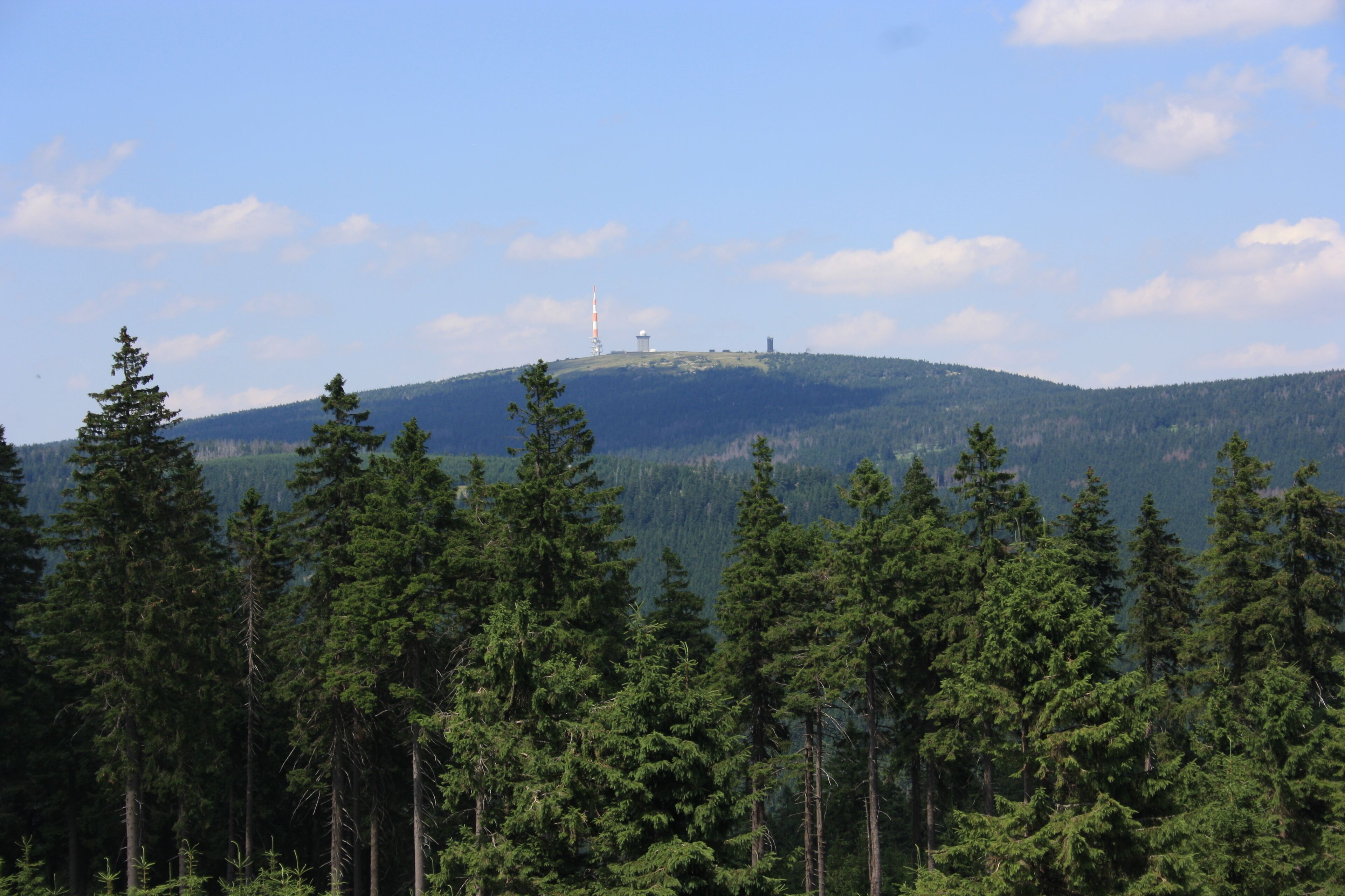A mountain with a wind turbine and dense forest.